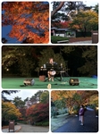 2019.11.24虹の郷.jpg
